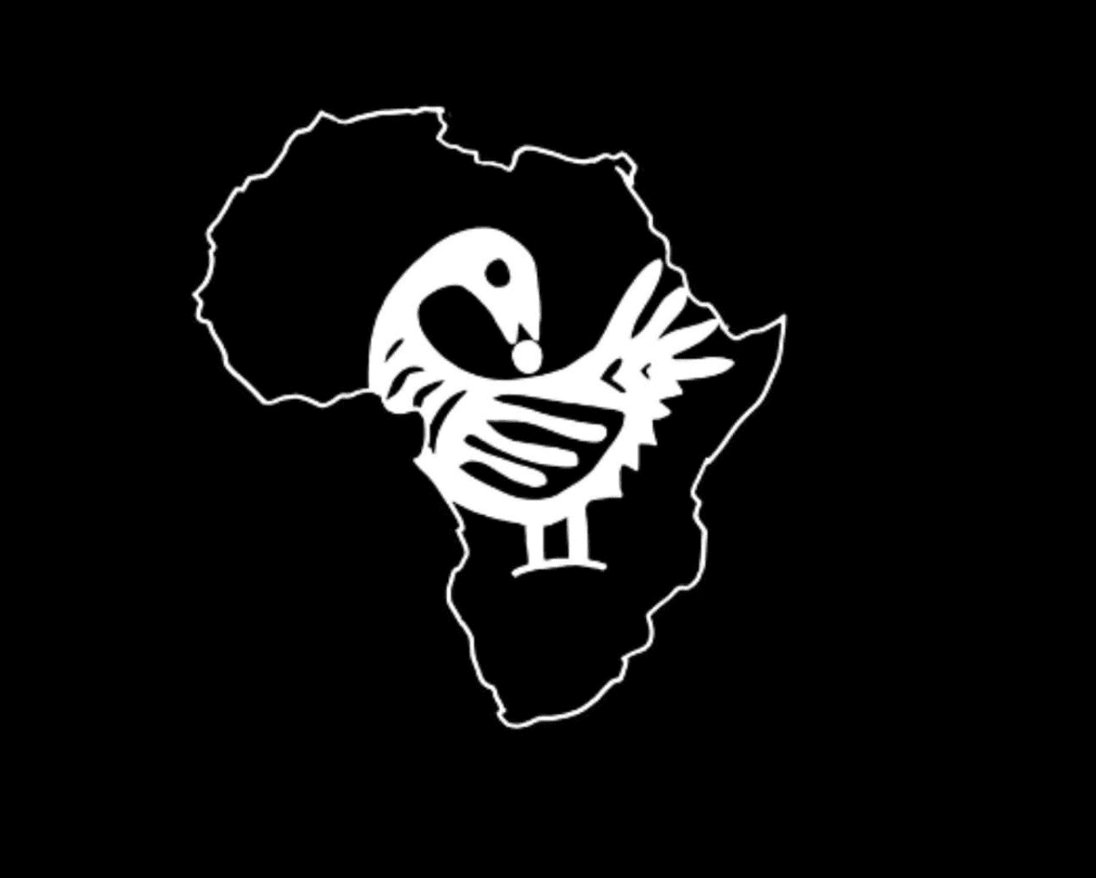 Sankofa African History Lessons